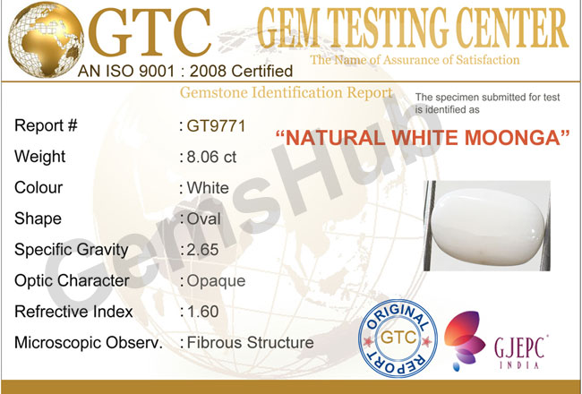 8.06 ct Natural Certified  White Coral/सफ़ेद मूंगा